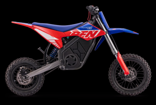 Apollo Elektro RFN SX-E2 1000W 48V 15Ah 12/10"